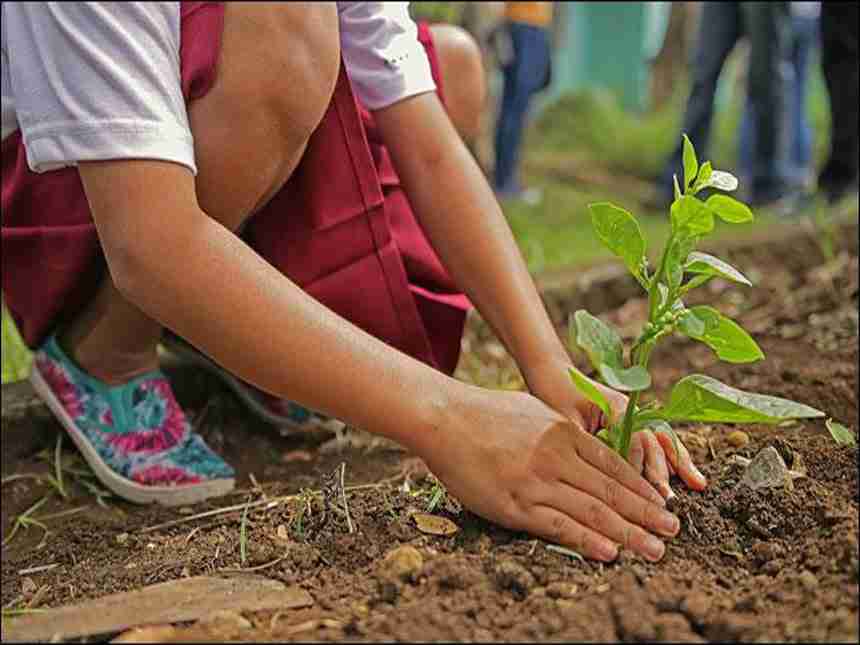 वृक्ष लावाल तरच घर बांधण्याची परवानगी, महानगरपालिकेचा प्रशंसनीय निर्णय