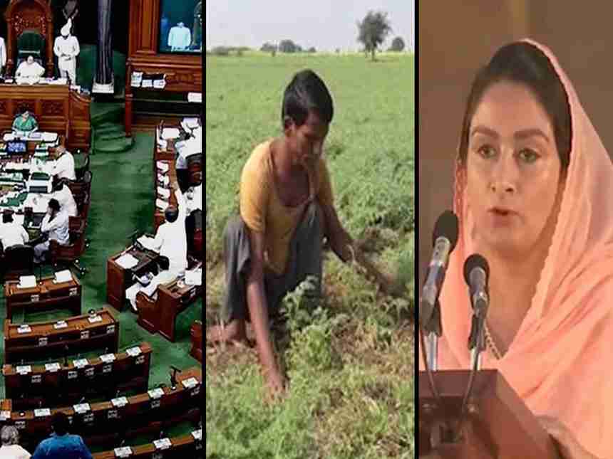 Agriculture Bill 2020: लोकसभेत मंजूर झालेली कृषीसंबंधित विधेयकं काय आहेत?